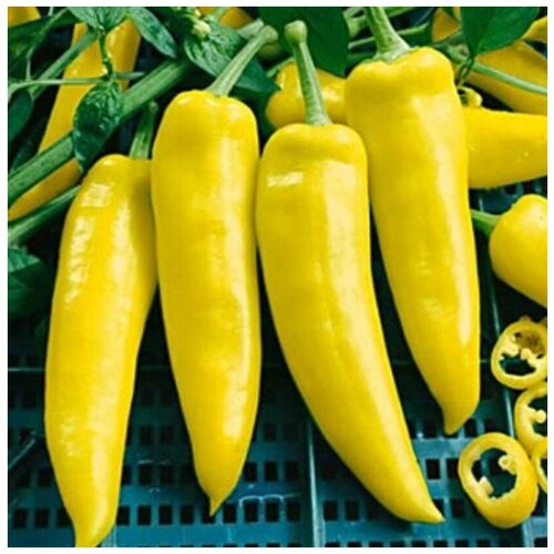 ������ ������ ������ ������ ����� ������ ���������� ����� 10 ��. ����