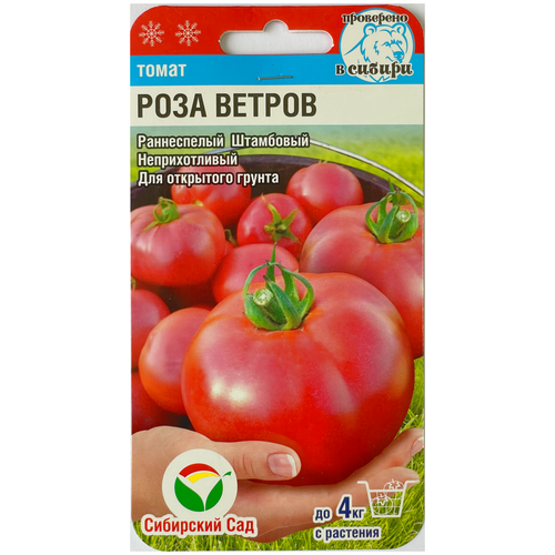 ������ ������ ������ ����� ���� ������, 15 ����� ����