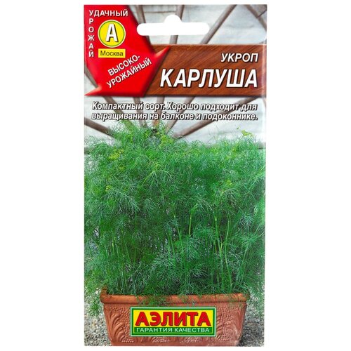 ������ ������ ������ ����� 