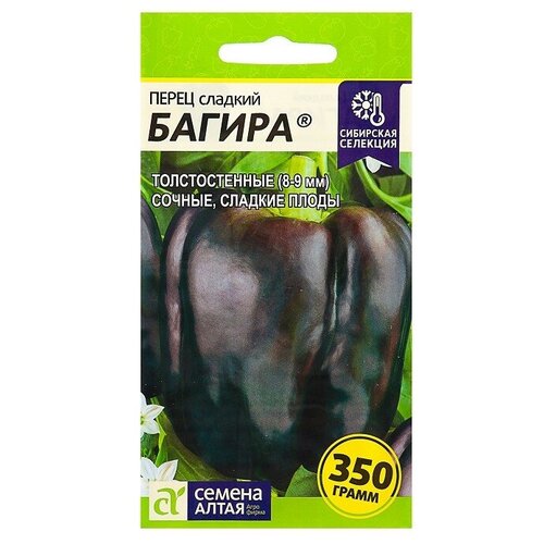 ������ ������ ������ ����� 