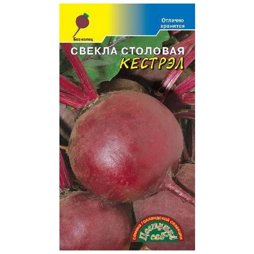 ������ ������ ������ ������ ������� F1 25�� �������� (�������� ���) ����