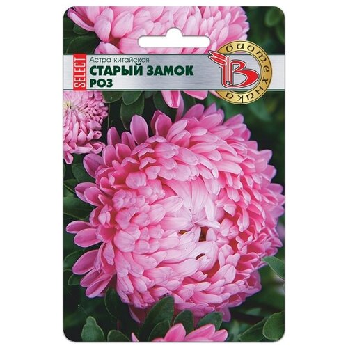 ������ ������ ����� ��������� ������ ����� ������ ��� ����