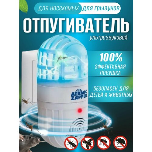 ������ ������ ������������ �������������� �� ��������� � ����� ����