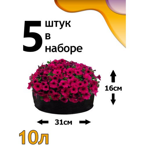 ������ ������ ������ ���� 10� - 5�� ����