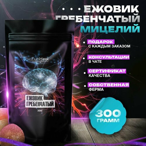 ������ ������ ������ ����������� ������� ������� ����