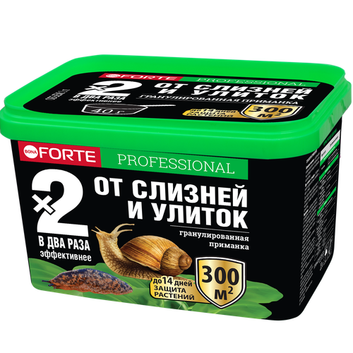 ������ ������ �������� ��� ������ �� ������� � ������ Bona Forte ������� 300 �� ����