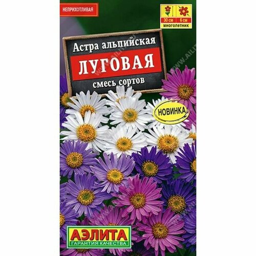 ������ ������ ������ ����� �������, ����������, ����� ������, �����������, (������) 0,1� ����