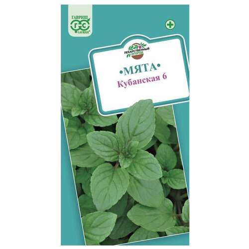 ������ ������ ������ ������ ���� ��������� 6 ����