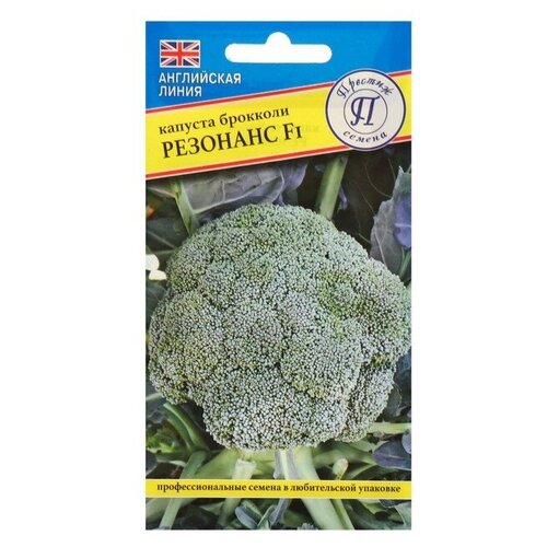 ������ ������ ������ ������� �������� 