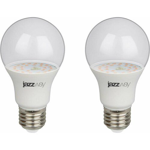        JazzWay PPG Agro Clear 9W E27  (  2 )   -     , -,   