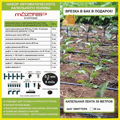 ������ ������ ����� ���������� ������ ������ 50� ����