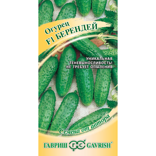 ������ ������ ������ ������ �������� F1 10�� ������������������ ������ (������) ����� ����