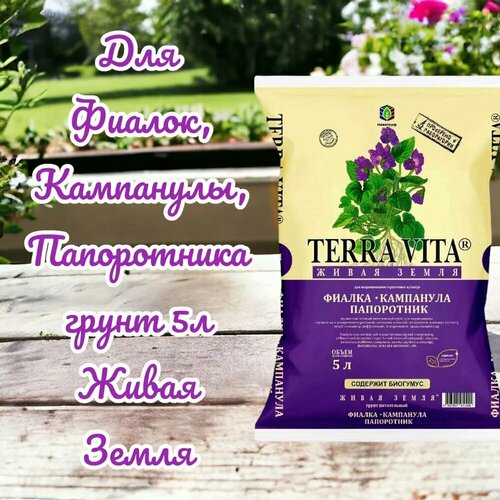 ������ ������ ��� ������, ���������, ����������� ����� 5� ����� ����� ����