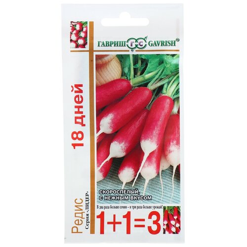 ������ ������ ������ ����� 1+1 