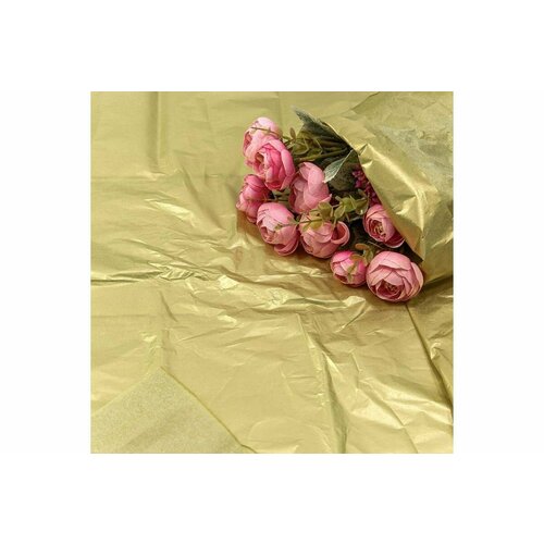 ������ ������ ����������� ������, ����� (0,5*0,65 �) ������, 10 ��. ����