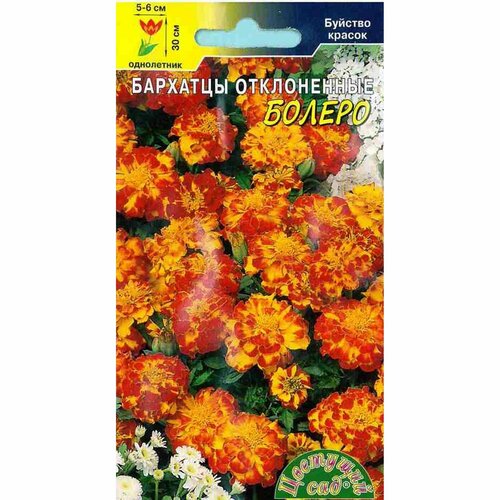 ������ ������ ������ �������� ������ ����������, (�������� ���) 0,3� ����