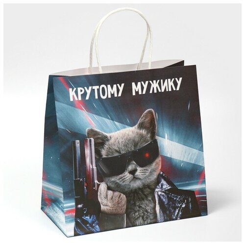 ������ ������ ����� ���������� ��������� �������, 22 � 22 � 11 �� ����