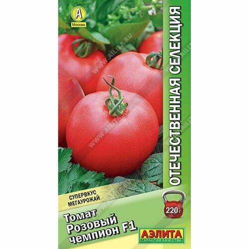 ������ ������ ������ ����� ������� ������� F1 (������) 10�� ������������� �������� ����