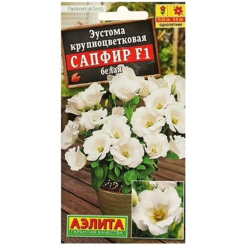 ������ ������ ������ ������� 