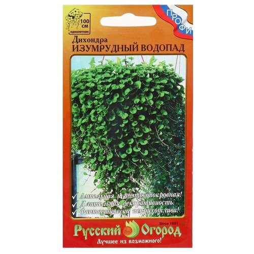 ������ ������ ������ ������� ������ �������� ���������� ������� ����