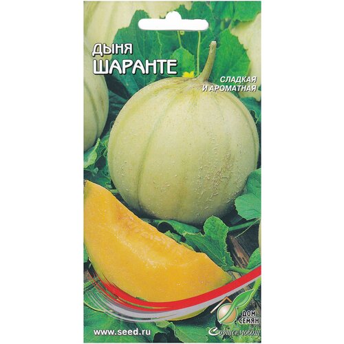 ������ ������ ���� �������, 10 ����� ����