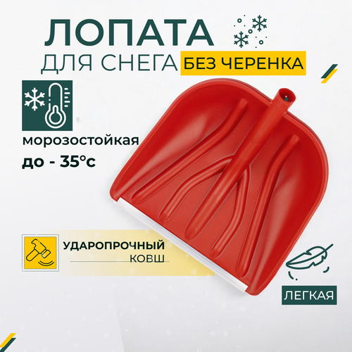 ������ ������ ������ �������� ��� �������, ���� ������, �������, �������, ������������� ���� ����