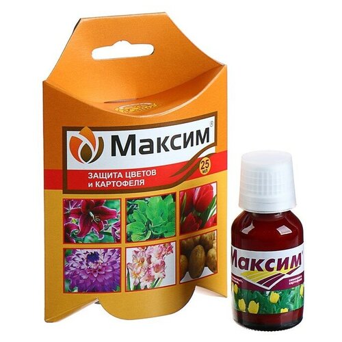 ������ ������ ���� ��������� �������� �� �������� �������� ������, 25 ��, 75 � ����