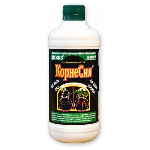 ������ ������ C��������� ���������������� 