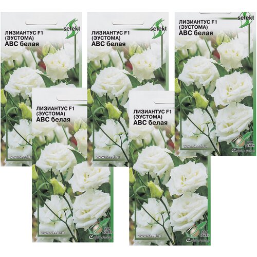 ������ ������ ��������� F1 (�������) ��� �����, 5 �������� �� 5 ����� ����