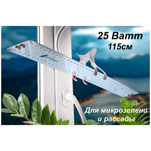 ������ ������ ��������� ��� �������, ���������, ������ ������� ������� 2.5. b 5000K+660nm Quantum line, 25��, 115 �� ����