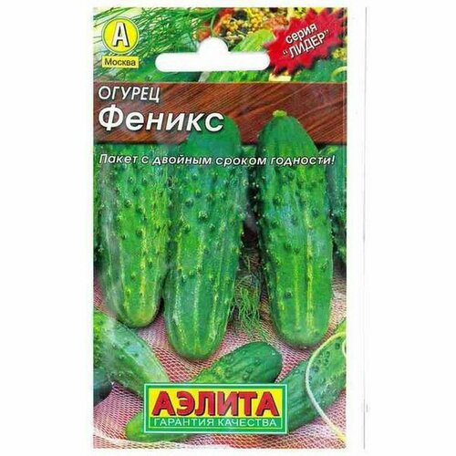 ������ ������ ������ ������ ������ (������) 20�� ����