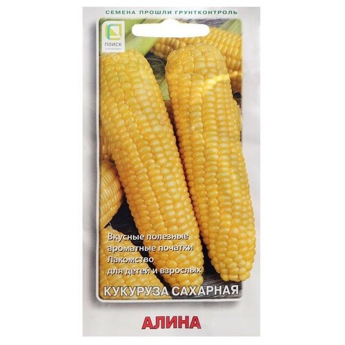 ������ ������ ������ �������� �������� 