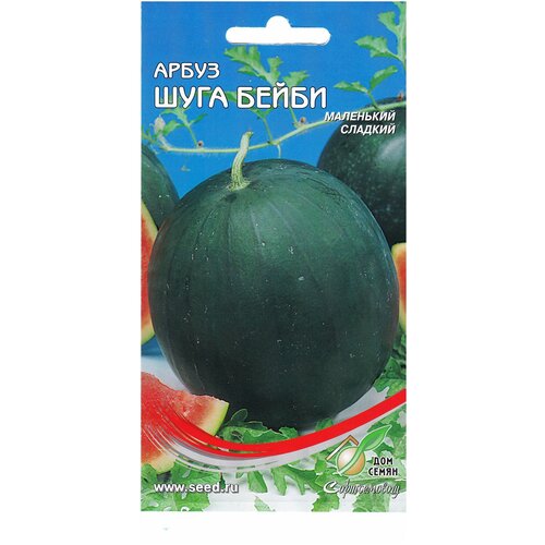 ������ ������ ����� ���� �����, 8 ����� ����