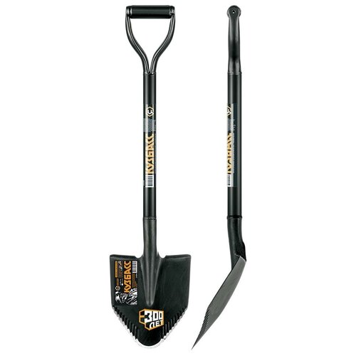 ������ ������ ������ ������������������� � ������� ���������������� ������� ����� 2009 ����