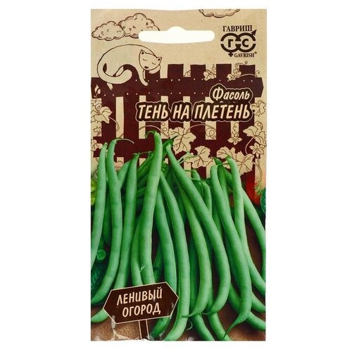 ������ ������ ������. ������ 