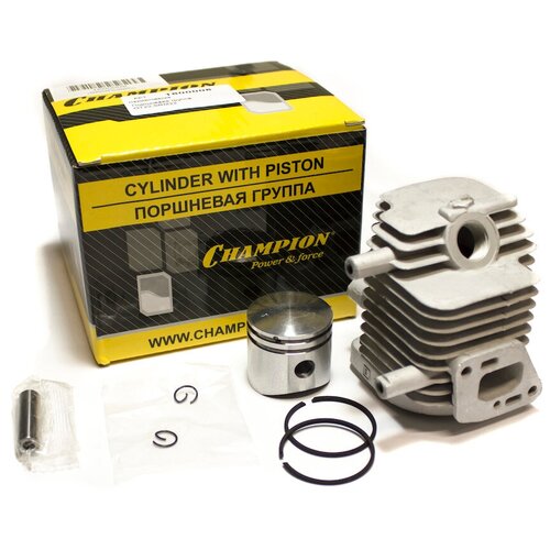 ������ ������ ��������� ������ GT22, SRM22, CHAMPION (IGP), 1600008 ����