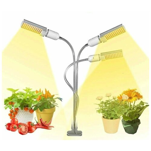 ������ ������ �������������� ��� �������� ��������� ANYSMART FX327-3 ����