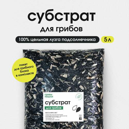 ������ ������ �������� ��� ����������� ������, ����� ������������� ����