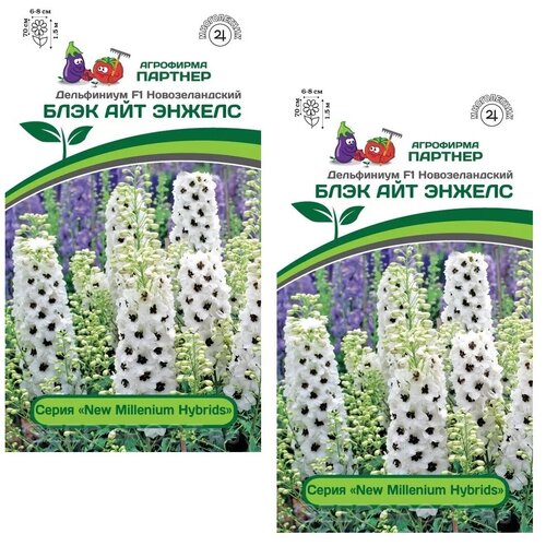 ������ ������ ������ ���������� �������. ���� ��� ������ /��������� �������/ 2 ��������,6 ����� ����