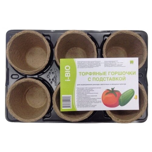 ������ ������ ����� �������� ������� ��� ������� ��������� 6�� 8�8�� � ���������� ����