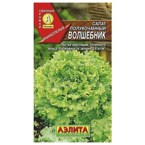 ������ ������ ������. ����� 