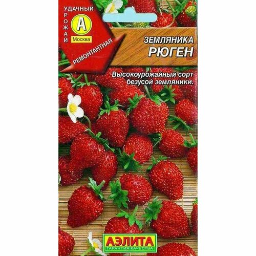 ������ ������ ������ ��������� ����� (������) 0,04 � ����