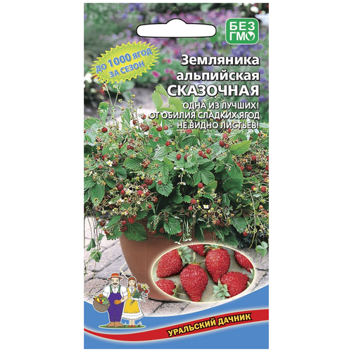 ������ ������ ������ ��������� ���������� ��������� ����