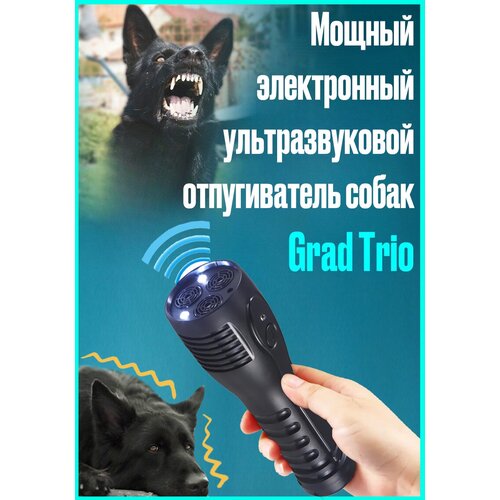       Grad Trio   -     , -,   