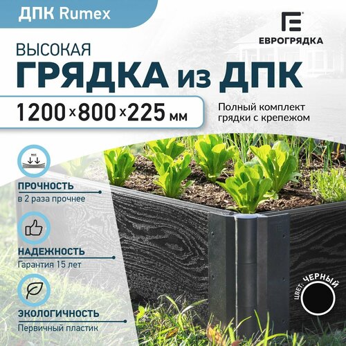     Rumex 1.20.8 , (: 22530 , : )   -     , -,   