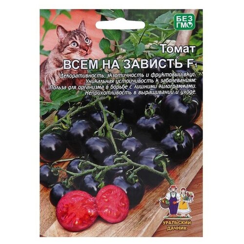 ������ ������ ������ ����� 