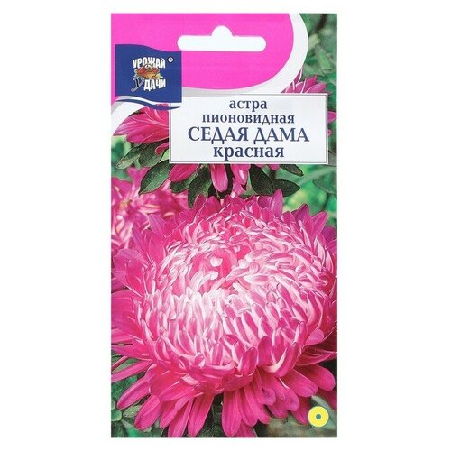 ������ ������ ����� ����������� ����� ���� ������� ����