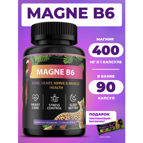 ������ ������ ������ � ������� �6 � �������� ����