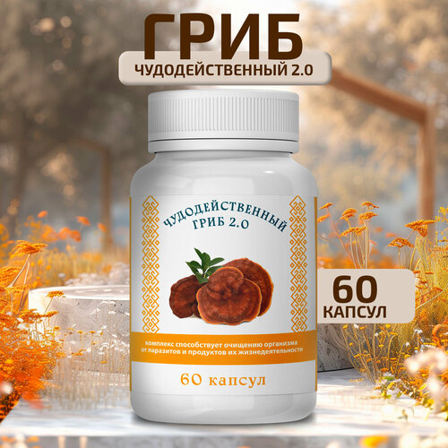 ������ ������ ��������������� ���� �� ��������� � �������� ����