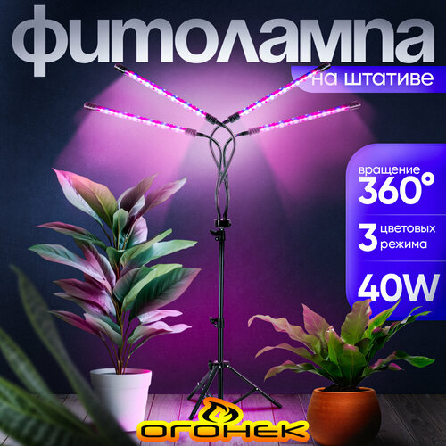 ������ ������ ���� ����� ��� �������� � �������� �� ������� ������ OG-LDP07 ����